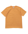 PAPAYA ORANGE
