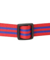 RED/BLUE